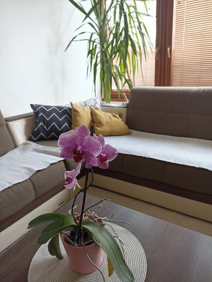 Apartment Bella Casa Free Parking SJJ Eksteriør bilde